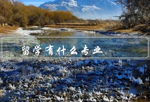 俄罗斯留学有什么专业（计算机科学与技术、国际关系与政治学）
