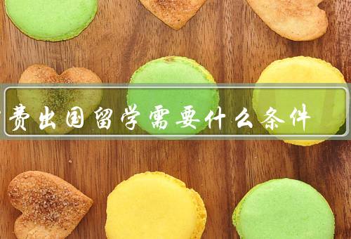 公费出国留学需要什么条件（学术成绩优秀、综合素质突出）
