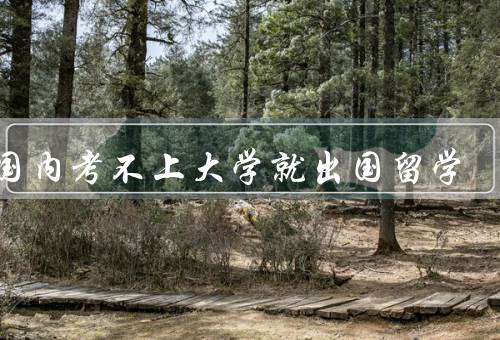 在国内考不上大学就出国留学（国内高考竞争激烈／国外教育资源丰富）