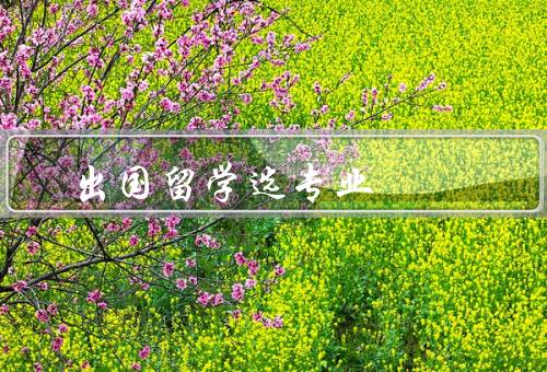 出国留学选专业，兴趣／能力／就业前景