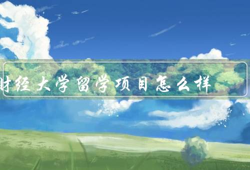 中央财经大学留学项目怎么样（项目设置／师资力量）