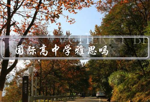 国际高中学雅思吗