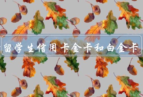 工行留学生信用卡金卡和白金卡（金卡、白金卡、总结）