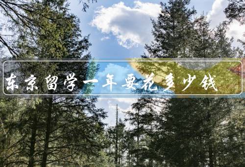 去东京留学一年要花多少钱（学费、生活费、住宿费）