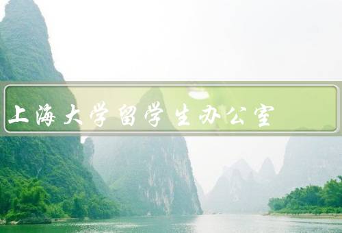 上海大学留学生办公室（职责／服务内容／意义和影响）