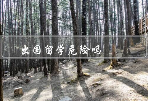 出国留学危险吗（个人安全、文化适应、学术压力）