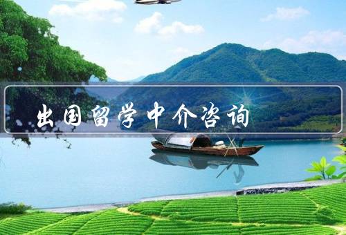 出国留学中介咨询（专业指导、解答疑惑和担忧、后续支持）