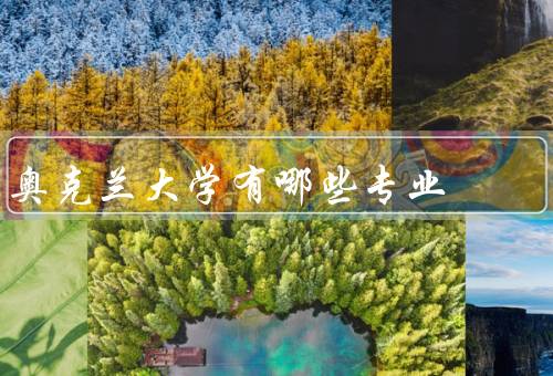 奥克兰大学有哪些专业（工程学、商学、医学）