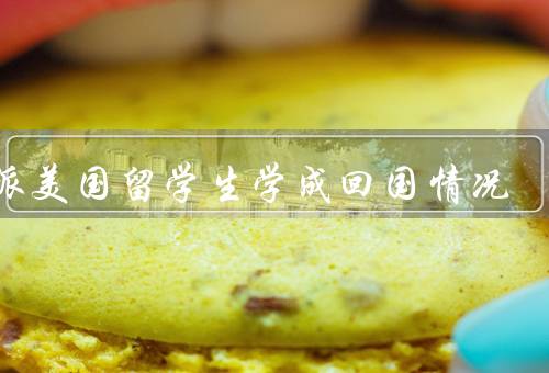 公派美国留学生学成回国情况，学业完成情况／回国就业情况