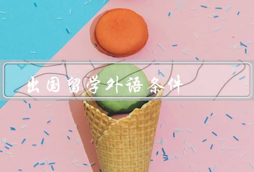 出国留学外语条件（语言水平、考试要求、文化适应力）