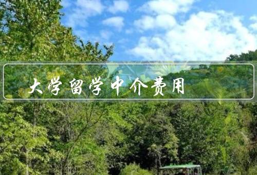 大学留学中介费用（定义、构成、选择合适中介机构）