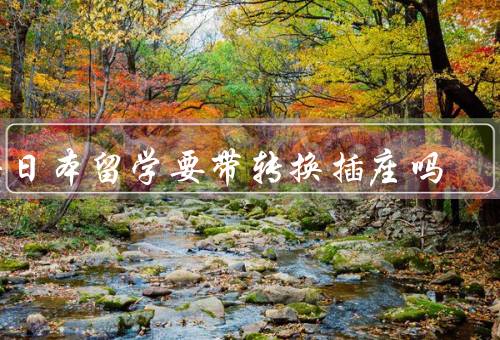 去日本留学要带转换插座吗（日本的电源插座类型）