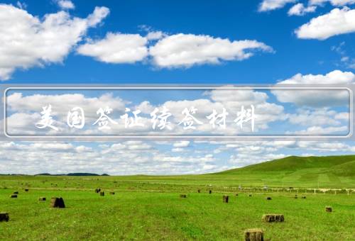 美国签证续签材料（护照和签证、DS-160表格、签证申请费）