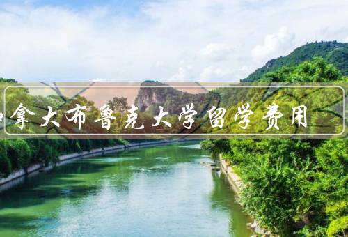 加拿大布鲁克大学留学费用，留学学费／生活费用／其他费用