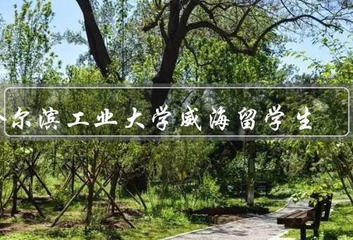 哈尔滨工业大学威海留学生中心，留学生服务／学习支持／心理关怀