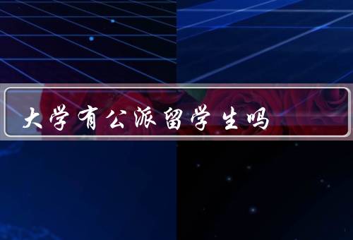 大学有公派留学生吗（意义、条件、流程）