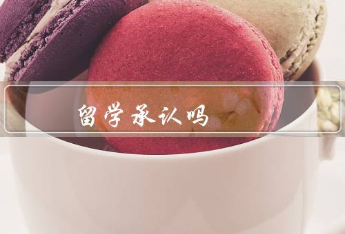 俄罗斯留学国家承认吗（教育体系的国际认可／国家的承认情况）