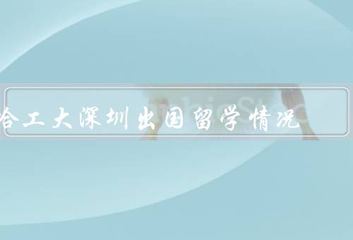 哈工大深圳出国留学情况