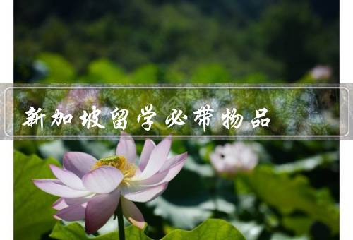新加坡留学必带物品，手机和充电器／护照、签证和相关文件