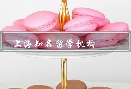 上海知名留学机构（上海知名／优势／发展趋势）