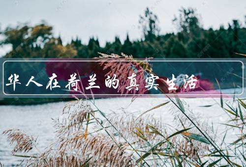 华人在荷兰的真实生活，华人社区、就业和教育、文化交流和融合