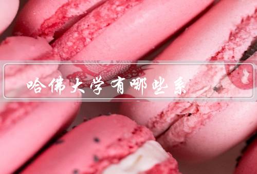 哈佛大学有哪些系，生物科学系／社会科学系／工程与应用科学系