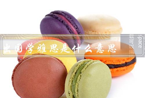 出国学雅思是什么意思