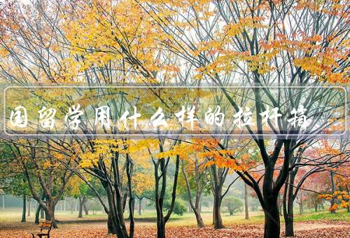 出国留学用什么样的拉杆箱（选择合适的尺寸／考虑质量和耐用性）