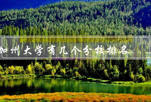 加州大学有几个分校排名（伯克利分校、加州大学洛杉矶分校）