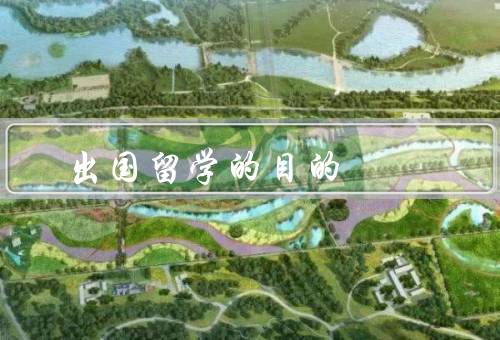 出国留学的目的（扩展视野、学习优质教育、培养跨文化沟通能力）
