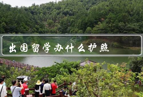 出国留学办什么护照（办理／有效期和签证／保管和使用）