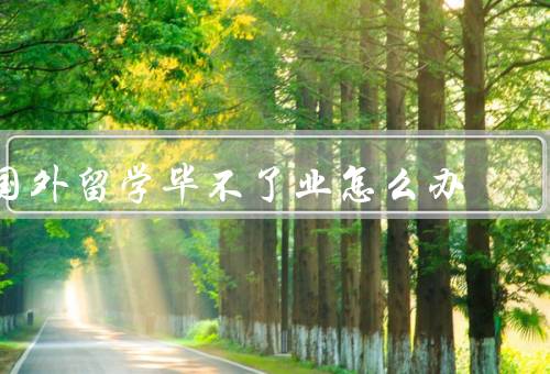 国外留学毕不了业怎么办，找到原因／寻求帮助／调整学习方法