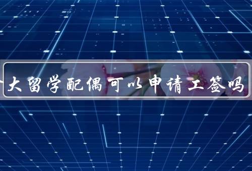 加拿大留学配偶可以申请工签吗（留学期间申请／持有者的工作权益）