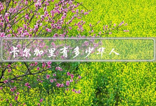 卡尔加里有多少华人，人口的增长、华人社区的建设