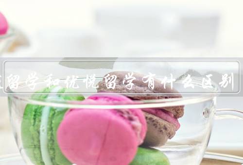 优越留学和优悦留学有什么区别，服务内容／学校合作伙伴／服务质量