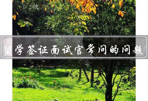 美国留学签证面试官常问的问题，背景／动机／留学计划