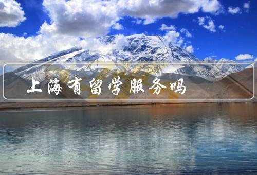 上海有留学服务中心吗，留学服务中心、服务内容、总结