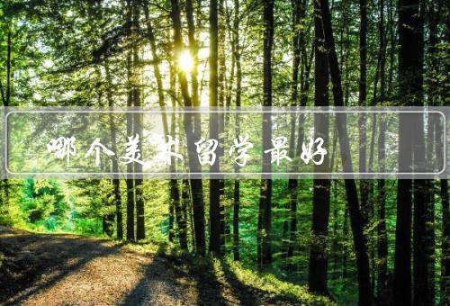 哪个国家美术留学最好，氛围、教育体系、资源