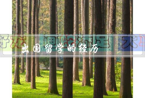 出国留学的经历（准备阶段／留学生活／回国总结）
