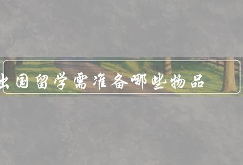 出国留学需准备哪些物品（护照和签证、基本生活用品、学习用品）
