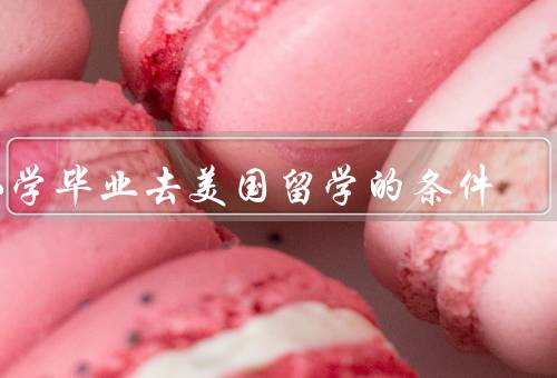 小学毕业去美国留学的条件，学业成绩优秀、英语水平良好