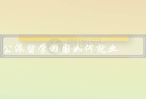 公派留学回国如何就业，准备工作／就业渠道／自身素质提升