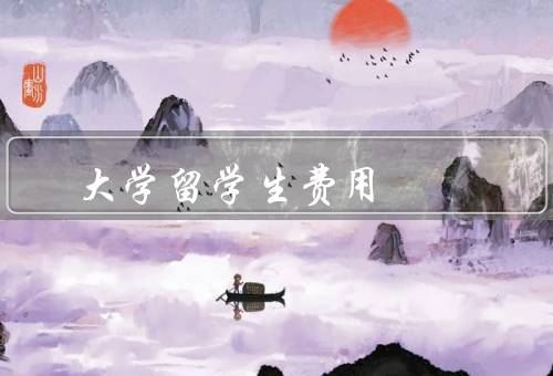 大学留学生费用（学费、生活费、其他费用）