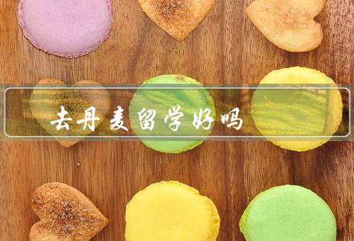 去丹麦留学好吗（丰富的教育资源、国际化的学术环境）