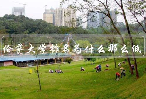 佛罗伦萨大学排名为什么那么低（师资力量不足、研究产出较少）