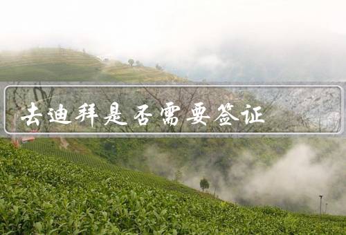 去迪拜是否需要签证（免签政策／落地签政策／在线申请签证）