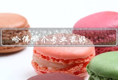 哈佛哪个专业最好（独特魅力、优势、前景）
