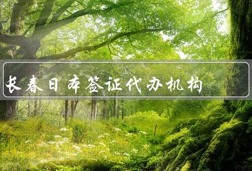 长春日本签证代办机构，内容、优势、总结