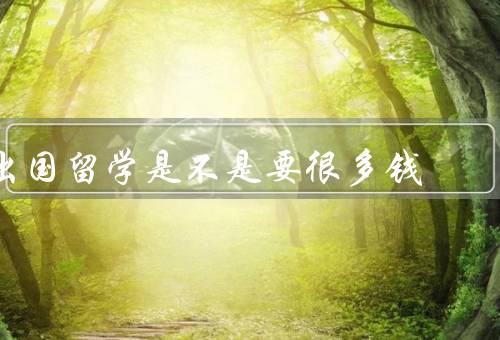 出国留学是不是要很多钱（留学费用、奖学金和助学金、个人经济能力）