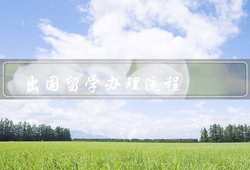 出国留学办理流程，准备阶段／申请阶段／签证阶段